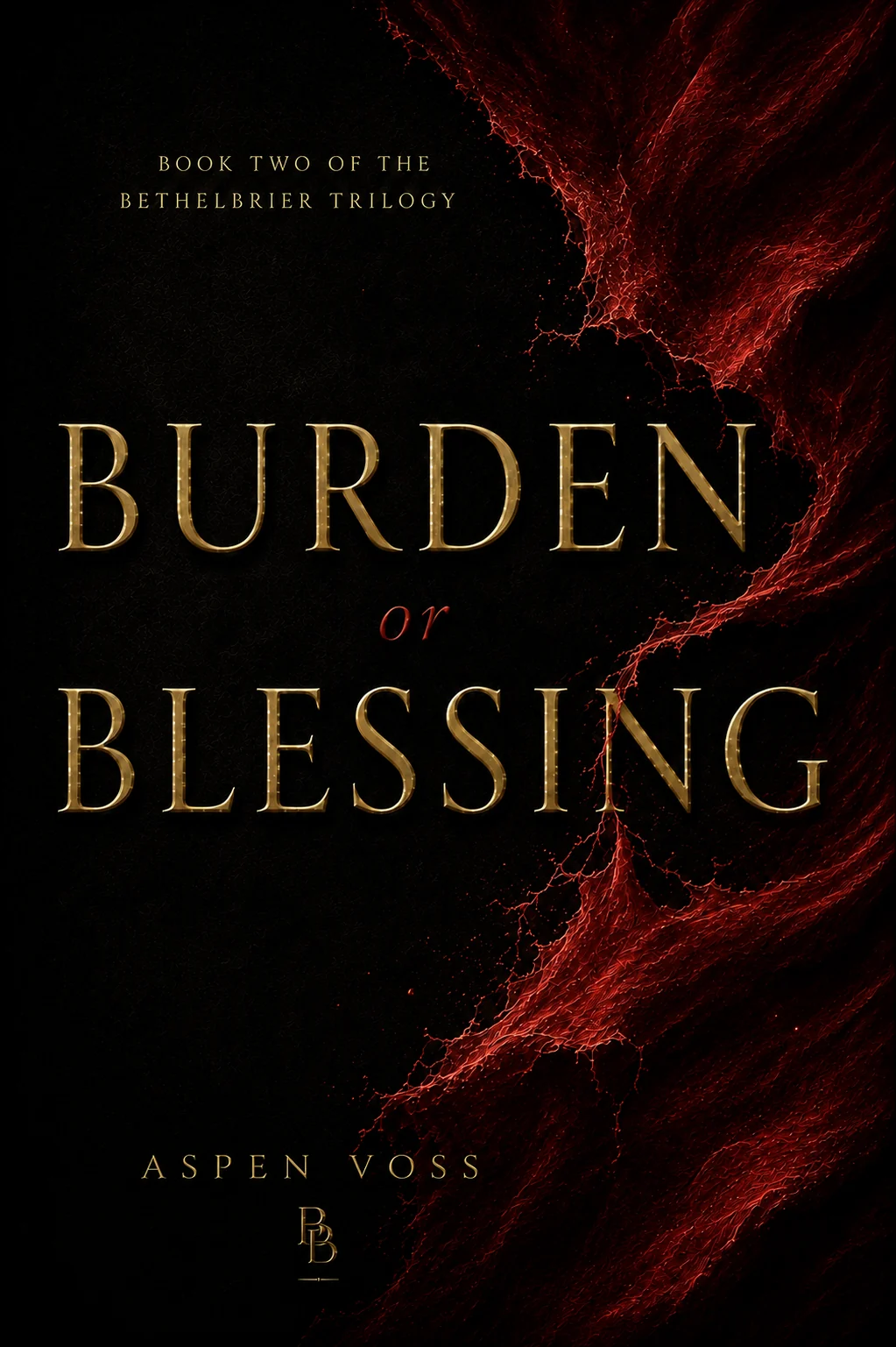 Burden or Blessing cover
