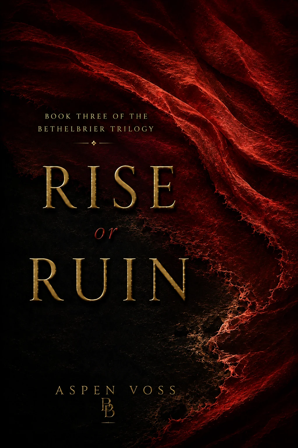 Rise or Ruin cover